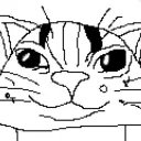 pisikaaaaa