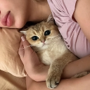 avatar 𝑂𝑢𝑚𝑒𝑒