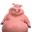 quaso_pendejon