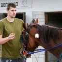 petjokicshorses