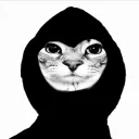 zorofrd