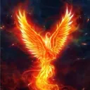 mr_argentino40_13584 avatar