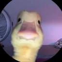 amperiadhcc