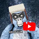 kdoggvr