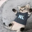 nlkedi