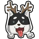 husdeers