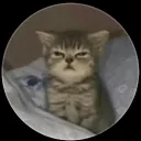 moymc avatar