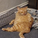 neutr0ns0up#0568's avatar