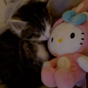 avatar 𝐫𝐚𝐲𝐲