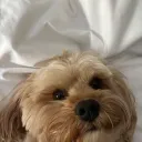 vimblewimble