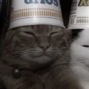 anthoyia_12