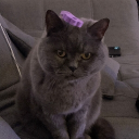 avatar 𝕸𝖆𝖝 𝕳𝕾𝖁 1896