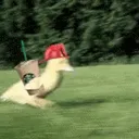 fw.ducky
