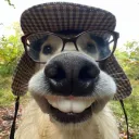 valliasj. avatar