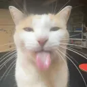 pipojn4er