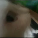 maikelqy avatar