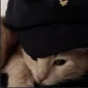 socialwinteryt
