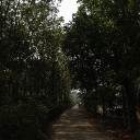 avatar ᴠɪᴏʟᴇᴛ