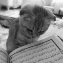 abdurrahmaan999