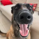 otaldoruiz_
