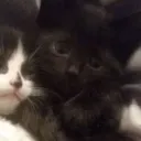 livingmylifefast avatar