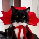 Аватар eldar.pablo