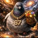 el_kalvin_klein_del_tiangu_98913 avatar