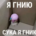 @kepkaa.exe's Discord avatar