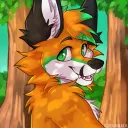 froxy77