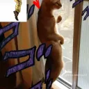 the_tin__22794 avatar