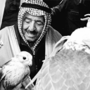 avatar 𝐓𝐮𝐖𝐚𝐢𝐐"?