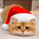 awesomepvpkitten
