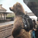 avatar Elijah St.Louis