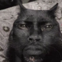 avatar Elijah St.Louis