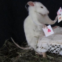 avatar ! lsosojwwhjidd