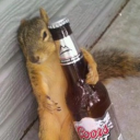 avatar 🐿️