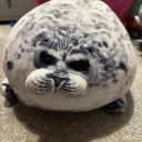 the_best_seal
