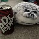 the_best_seal
