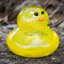 that_duck_over_there_