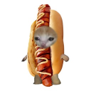 hotdogman04768