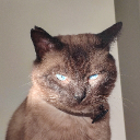Discord Avatar