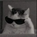 ivndevv