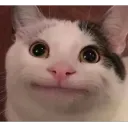 ava.owo