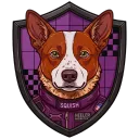 squishydingo