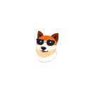 remy_token