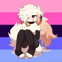 urrfavfemboi