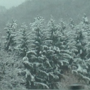 avatar 𝔼𝕦𝕣𝕠𝕡𝕒ℚ𝕦𝕖𝕖𝕟