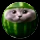 skibidisigmaponmi0915 avatar