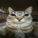 scissorrr