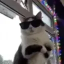 king_tomate